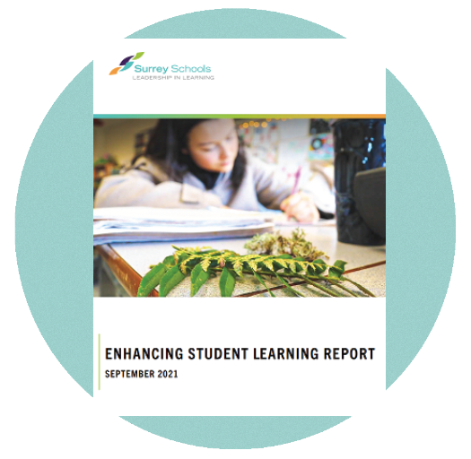 Enhancing Student Learning Report