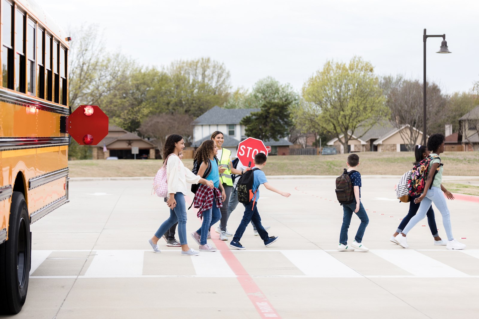 pedestrian-driver%20safety.jpg