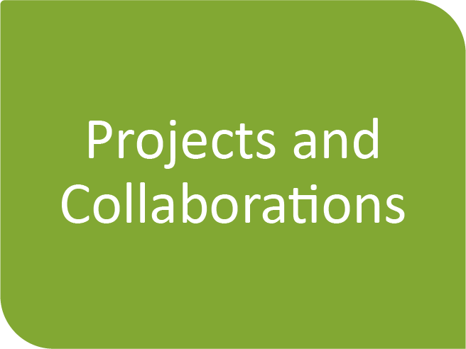 project-and-collaborations-button.ea4eab162091.png