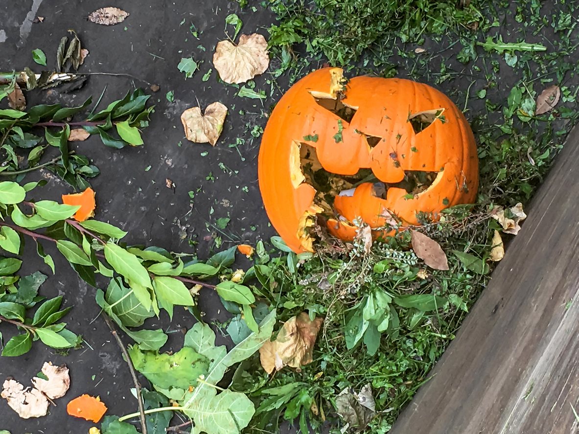 smashed-pumpkin.c2ebd5212277.jpg