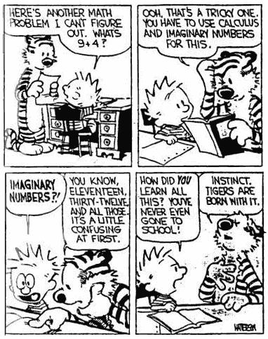 calvin-and-hobbes-math-problem.df6a8963843.gif