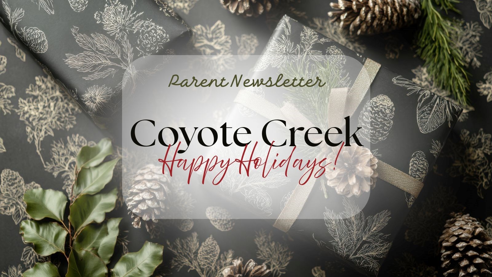 Winter Break Newsletter