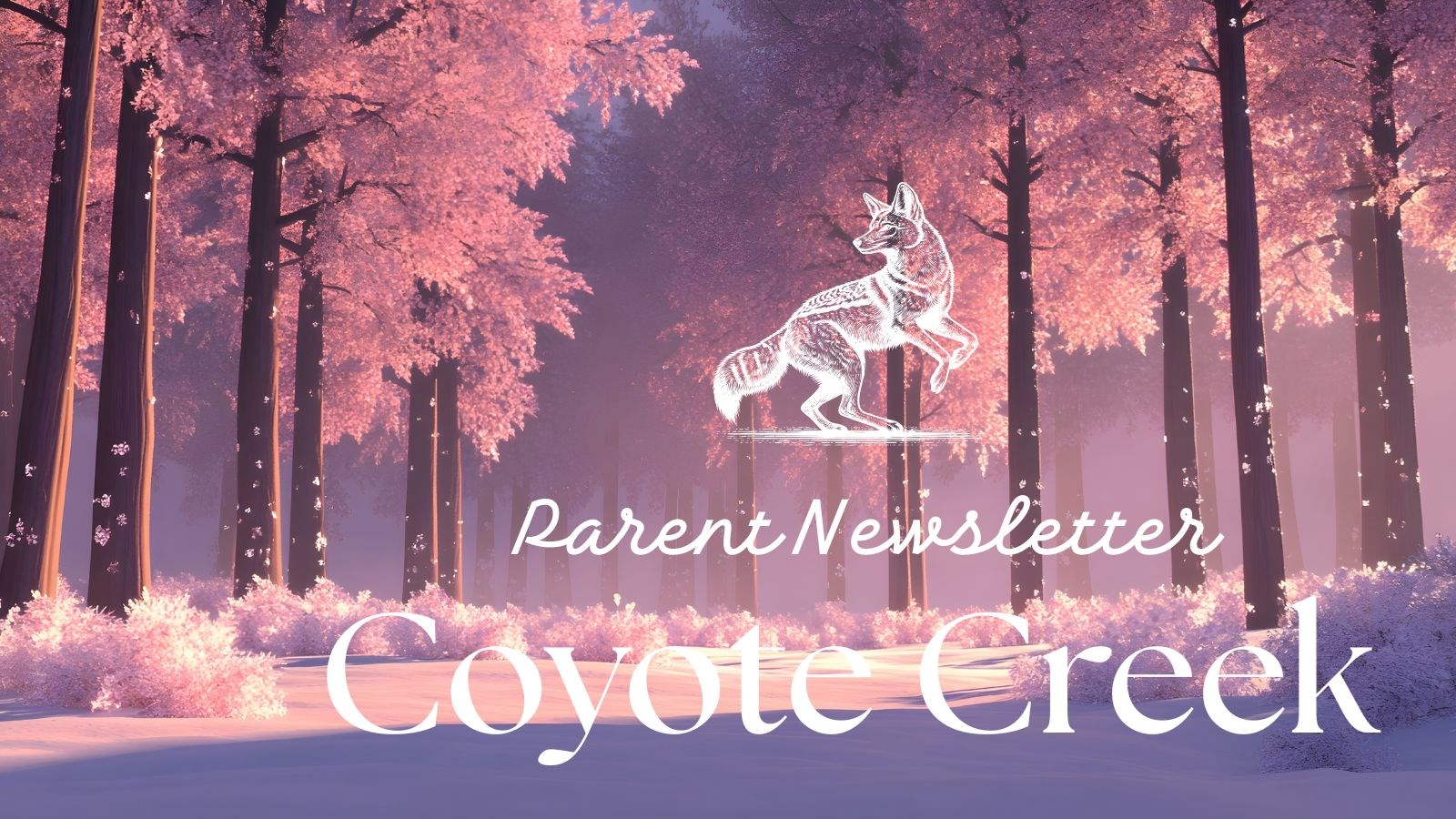 January Newsletter #2