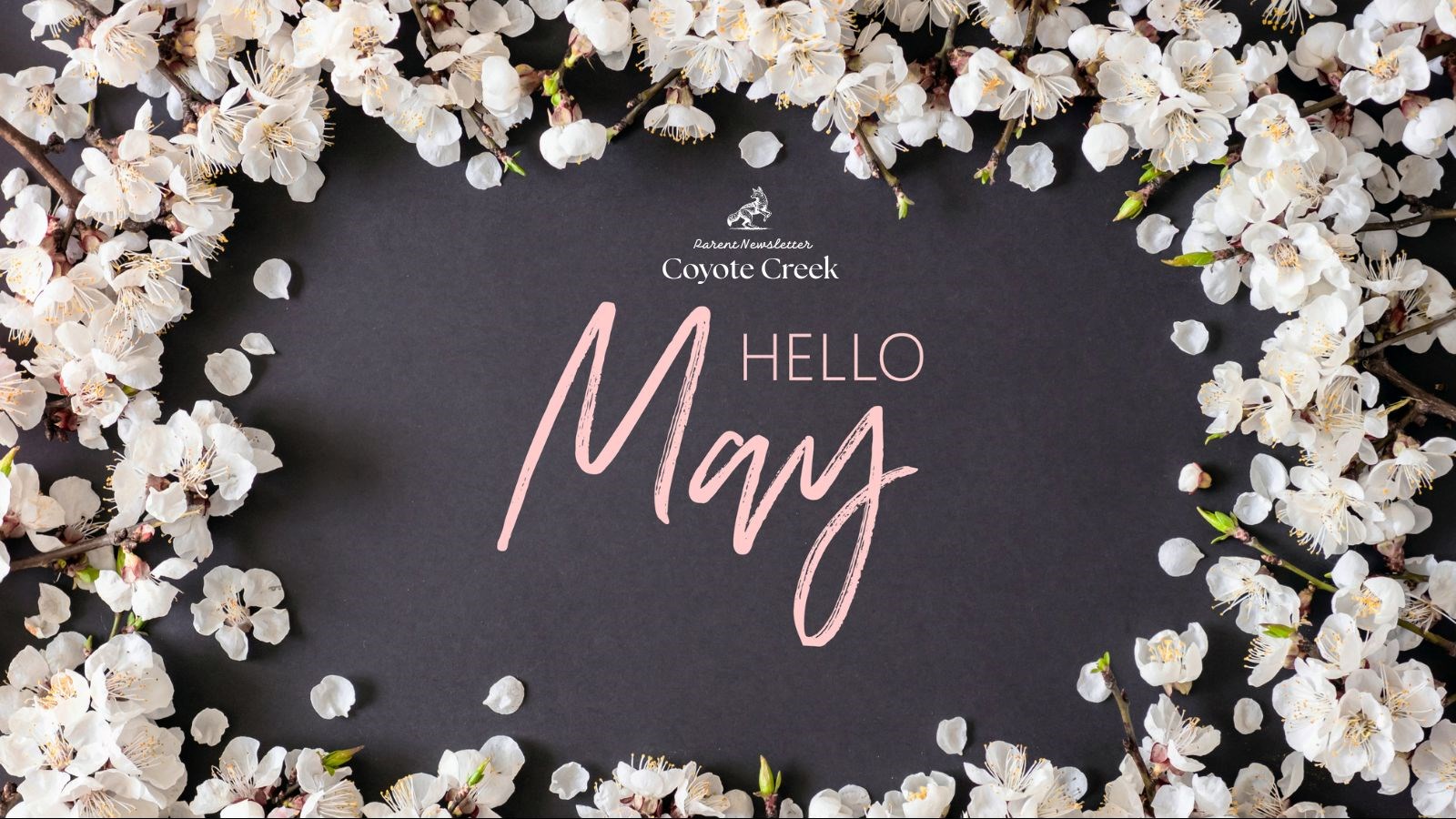 May Newsletter