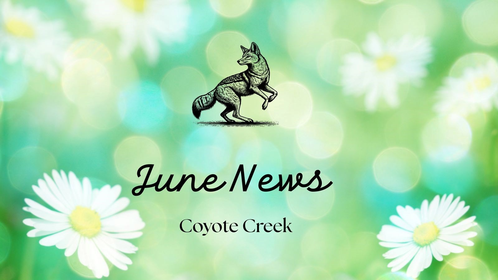 June Newsletter