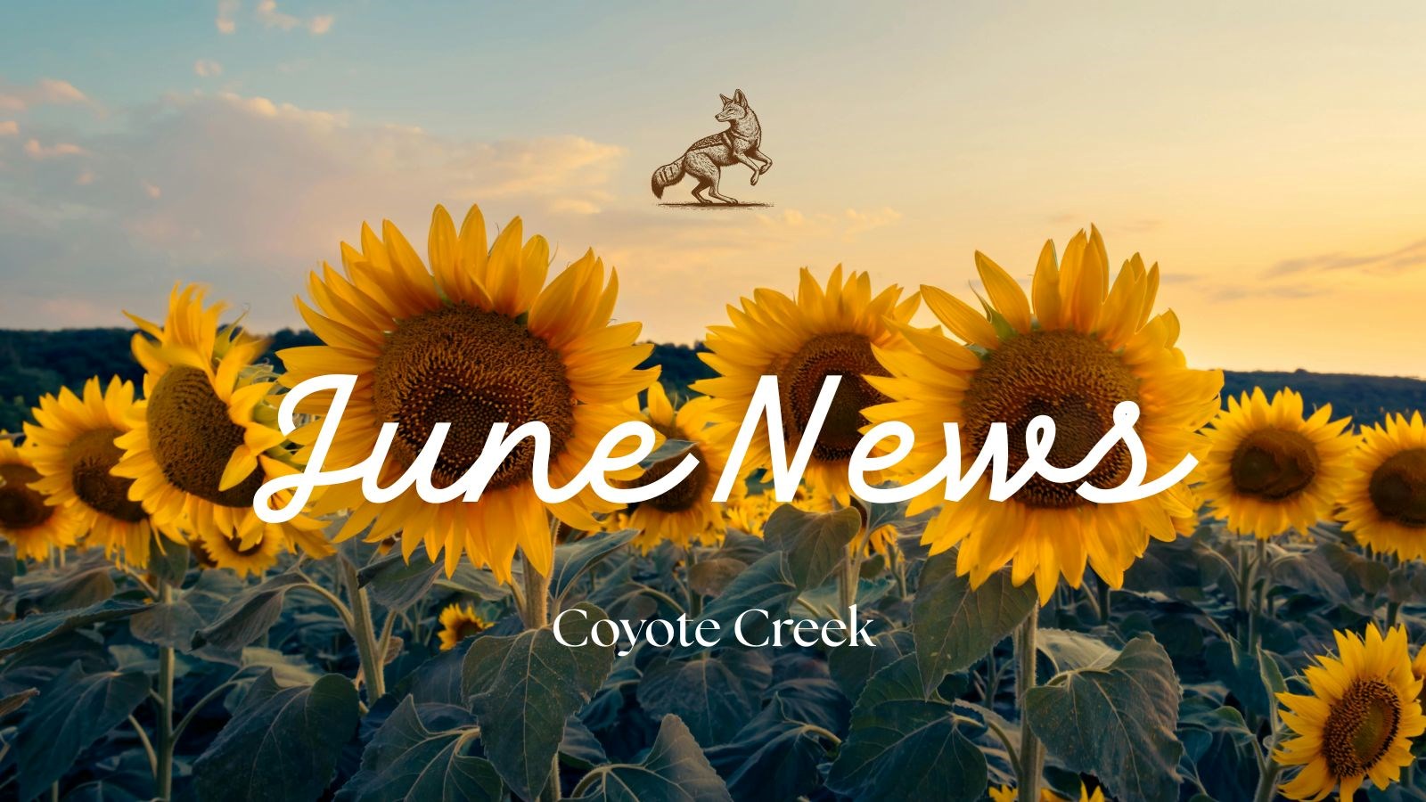 Year End Newsletter
