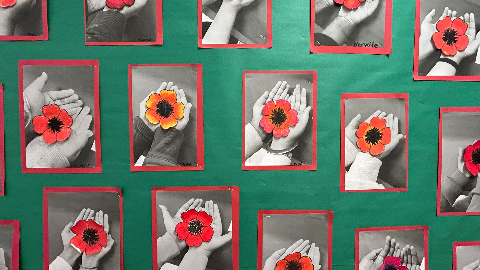 Parent Newsletter November 19th