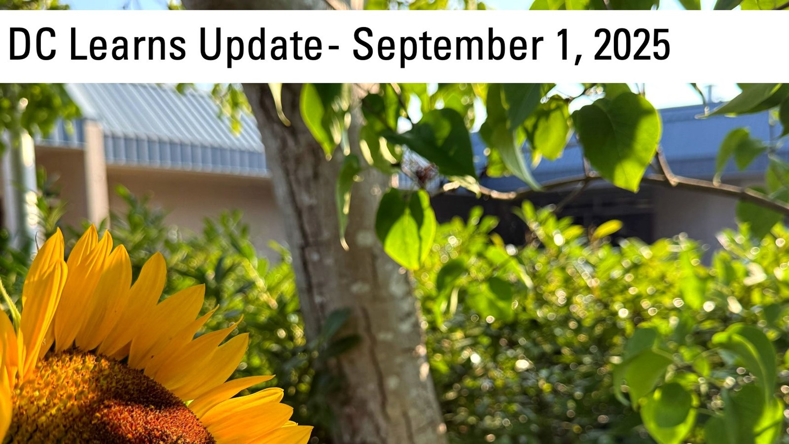 Enjoy the September 1 2025 DC Learns Update