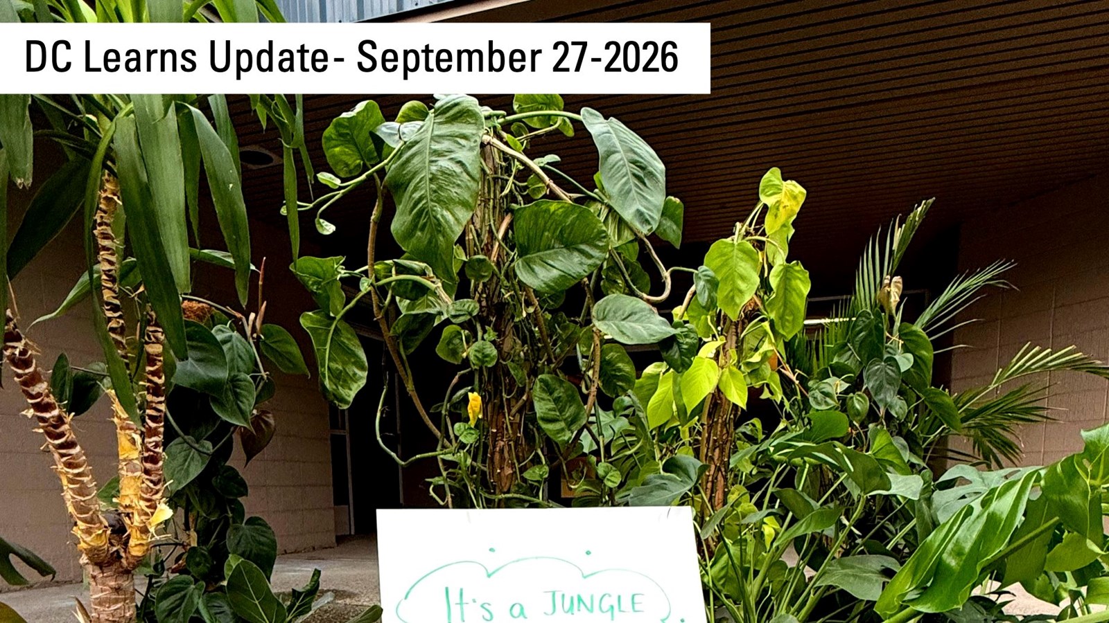 Enjoy the SEPTEMBER 27, 2026 DC Learns Update
