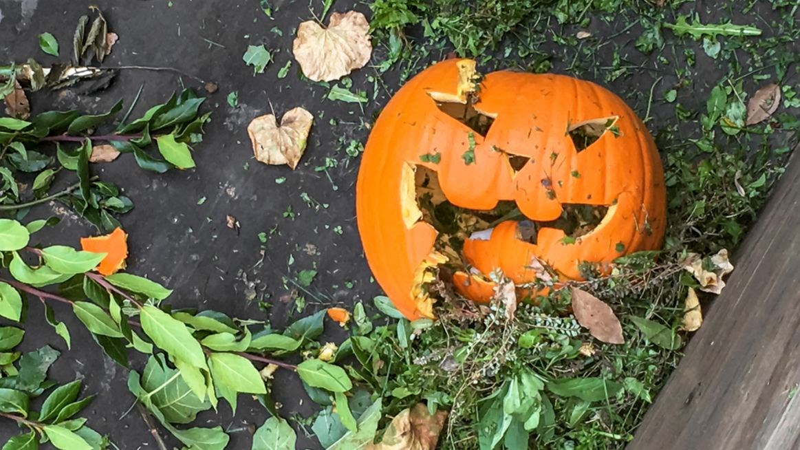 Surrey Schools taking measures to fight vandalism and property damage at Halloween
