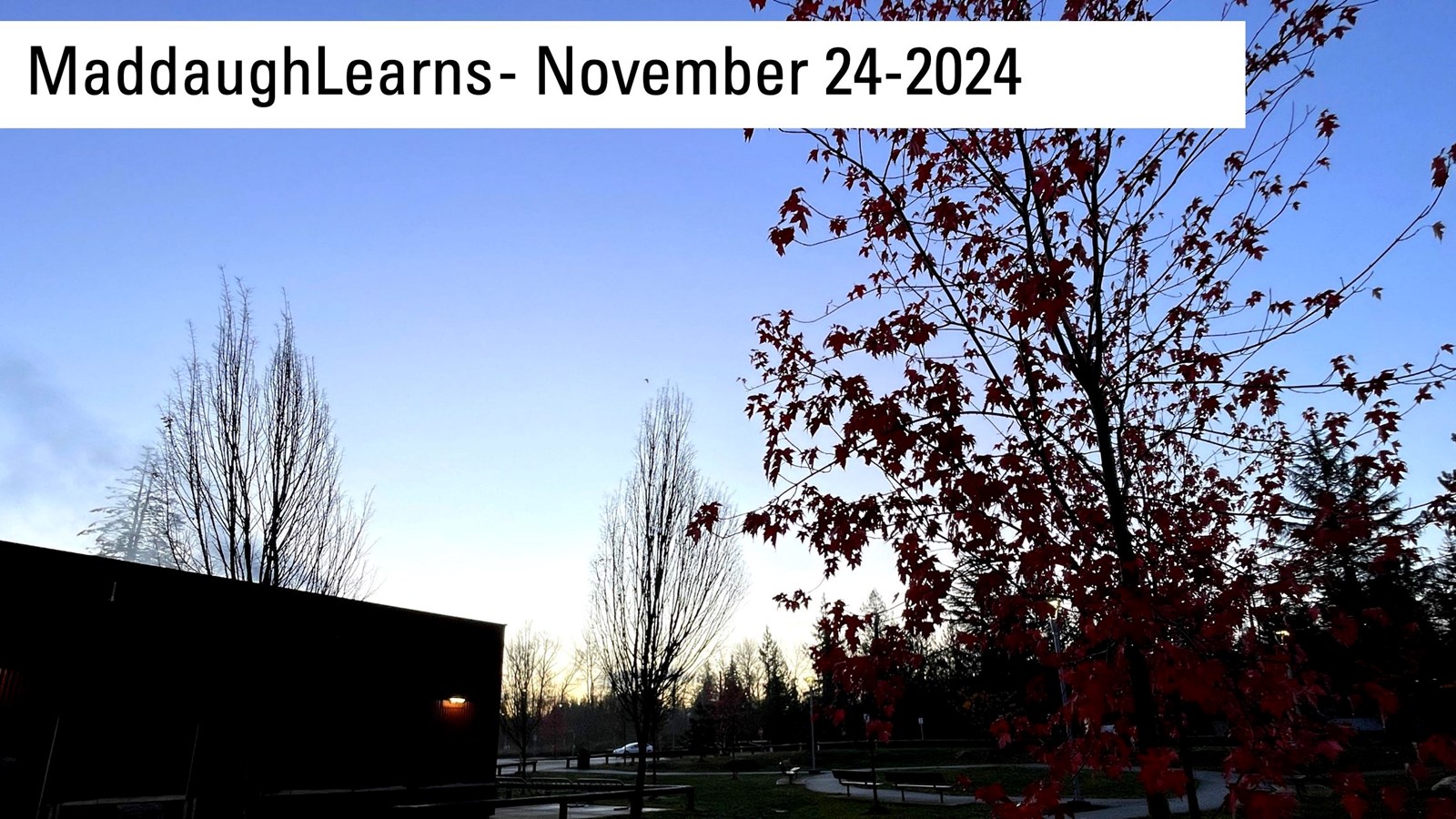 Enjoy the Nov. 24 MaddaughLearns Update