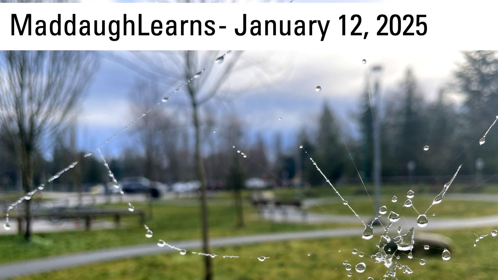 Enjoy the Jan. 12 MaddaughLearns Update