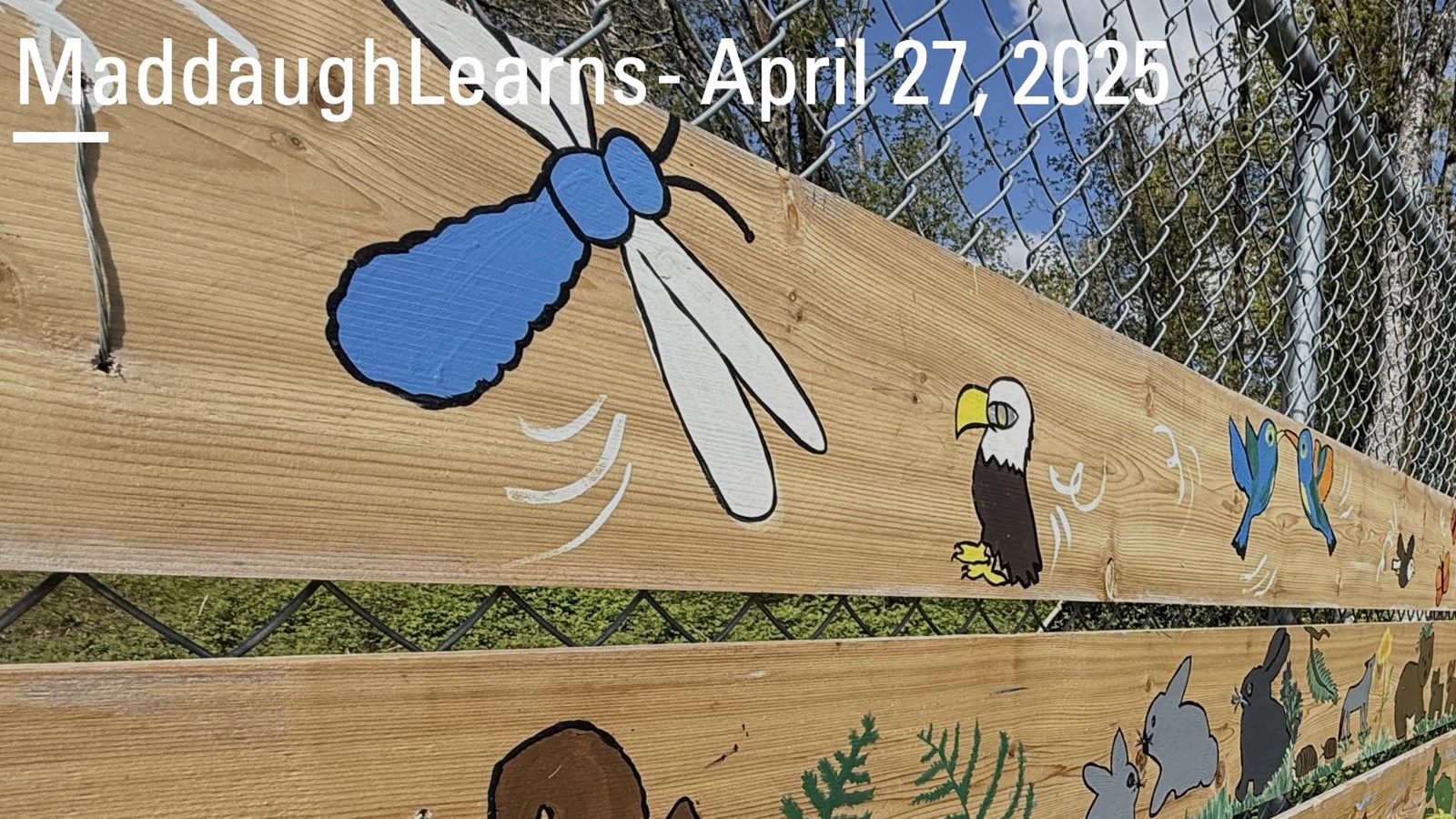 Enjoy the April 27 MaddaughLearns Update