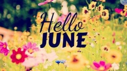 Newsletter #6 - May 30, 2025
