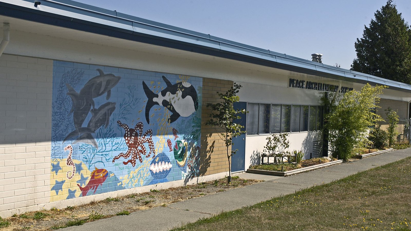 Welcome to Peace Arch Elementary!