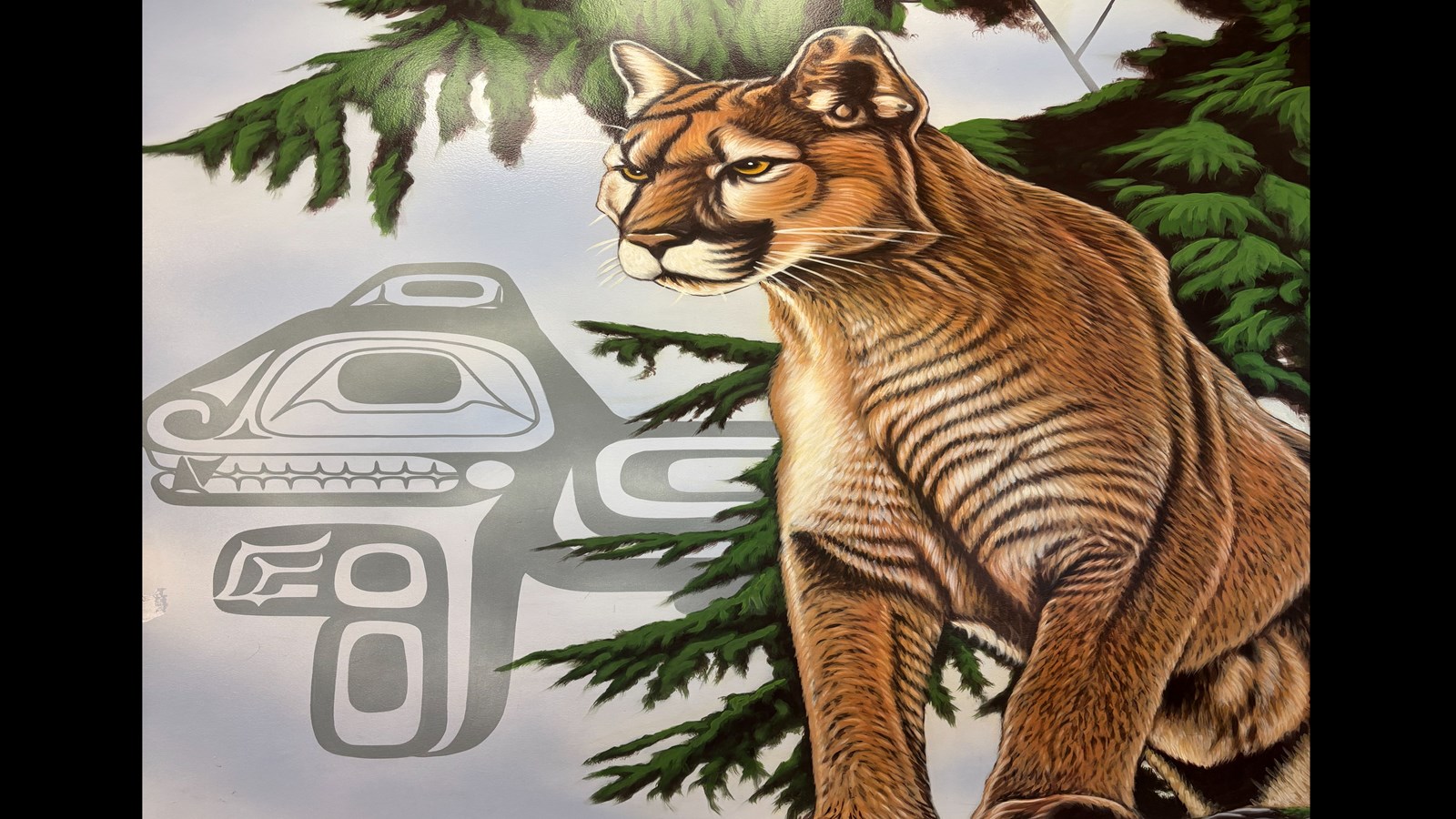 November 21, 2025 - Newsletter