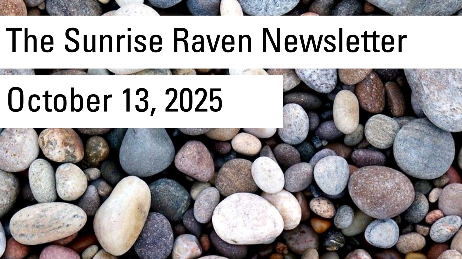 The Sunrise Raven Newsletter for Oct. 13, 2025