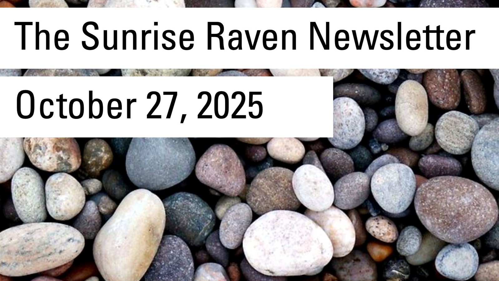 The Sunrise Raven Newsletter for Oct. 27, 2025