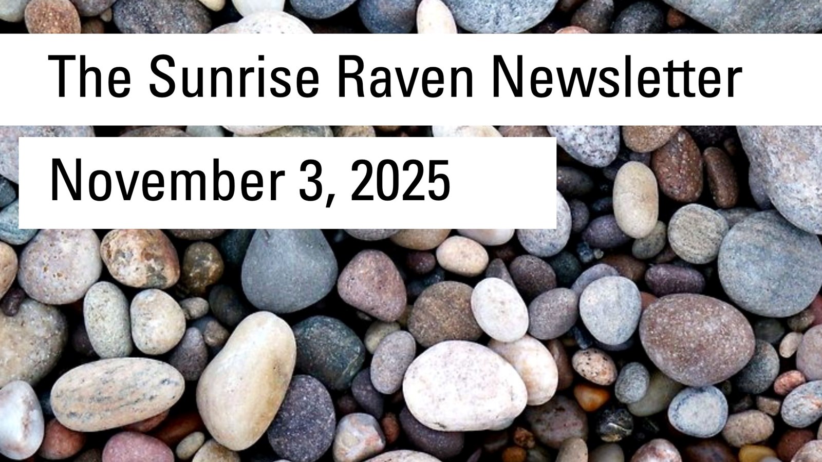 Sunrise Raven Newsletter November 3, 2025