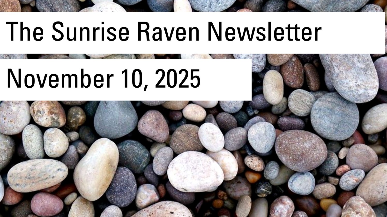 Sunrise Raven Newsletter November 10, 2025