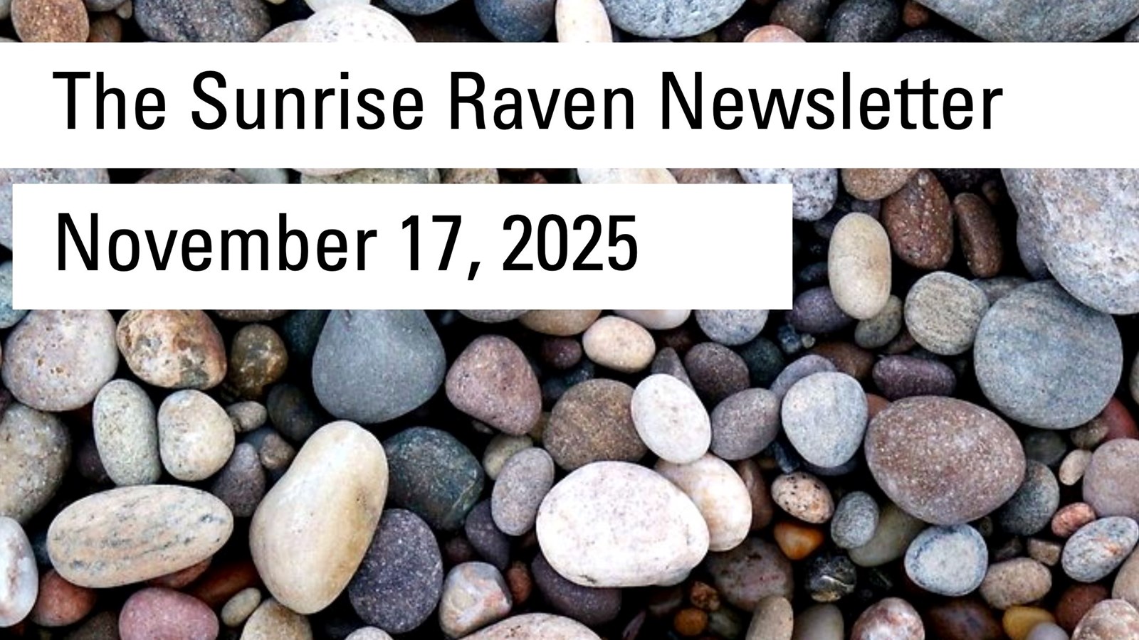 The Sunrise Raven Newsletter for Nov. 17, 2025