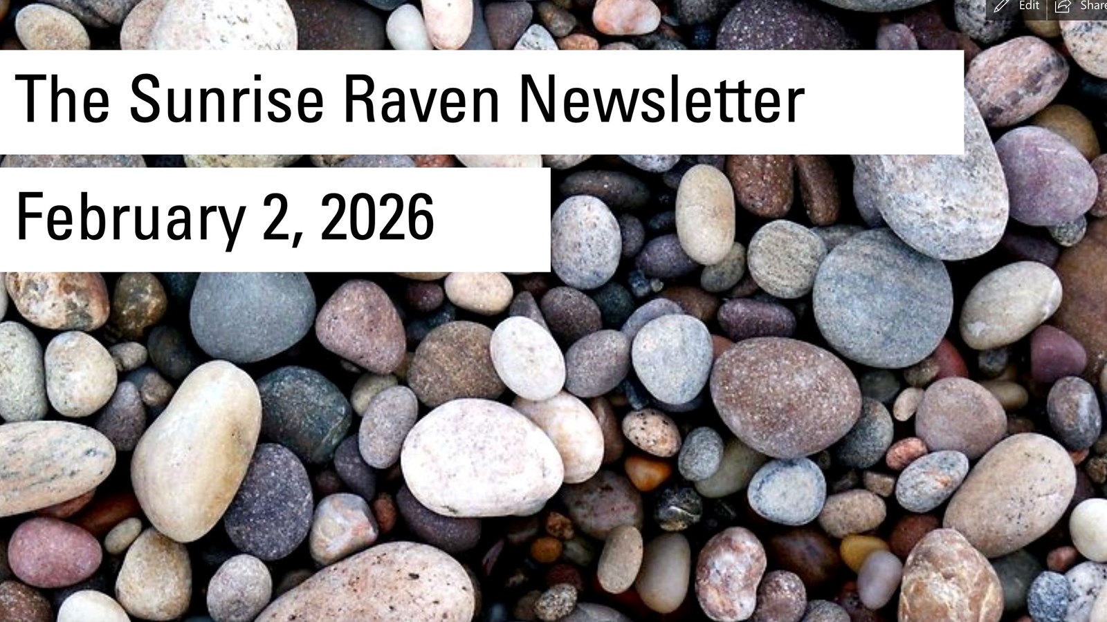 Sunrise Raven Newsletter for Feb. 2, 2026