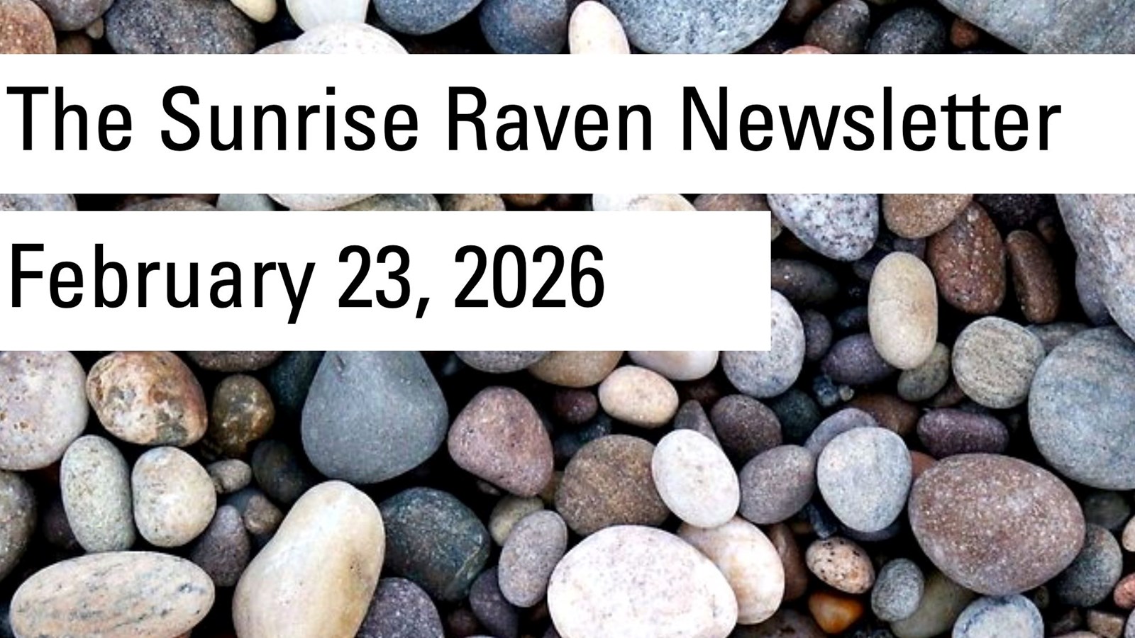 Sunrise Raven Newsletter for Feb. 23, 2026
