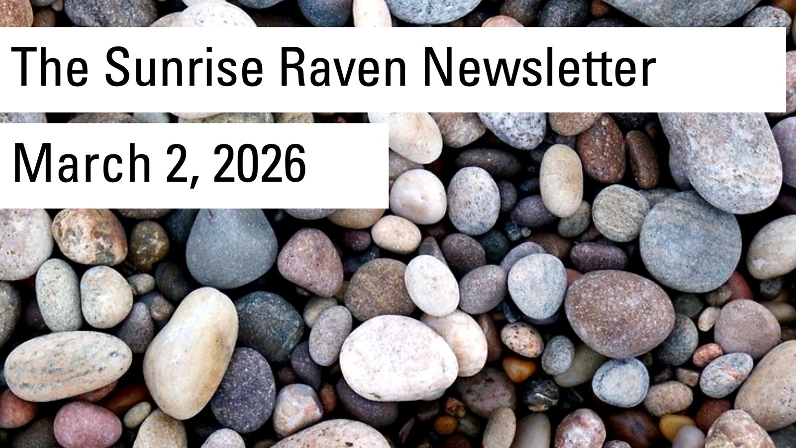 Sunrise Raven Newsletter for Mar. 2, 2026