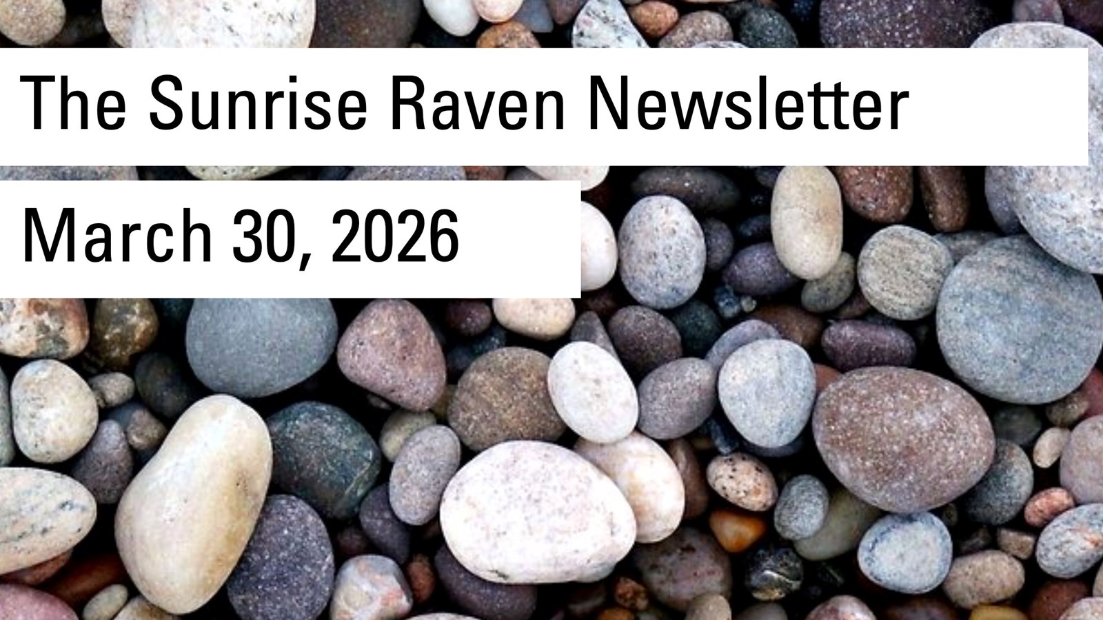 Sunrise Raven Newsletter for March 30, 2026