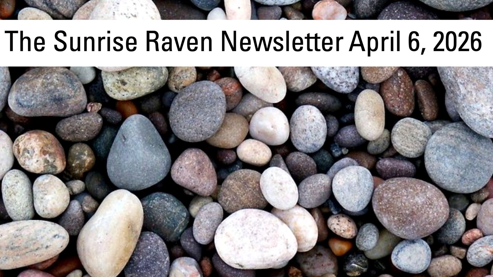 Sunrise Raven Newsletter for April 6, 2026