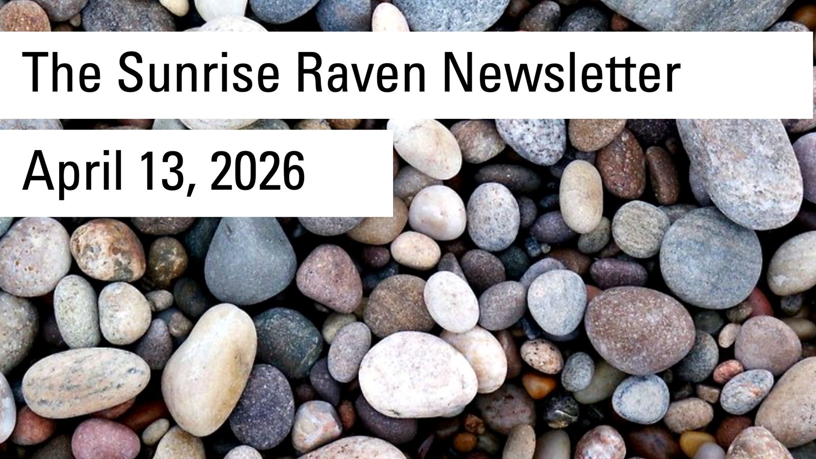 Sunrise Raven Newsletter for April 13, 2026
