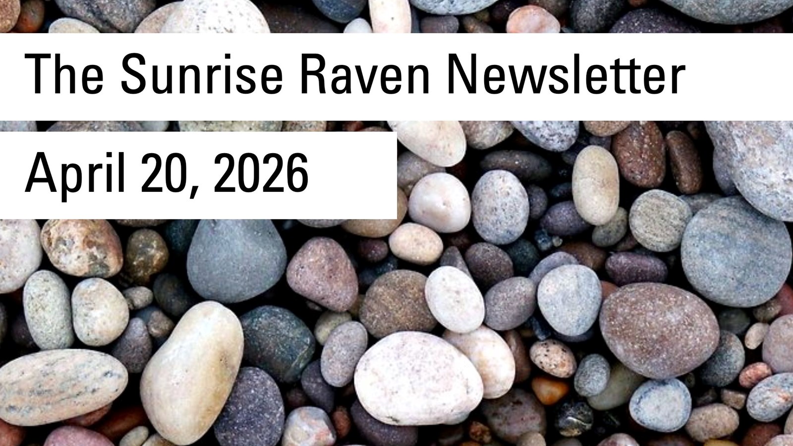 Sunrise Raven Newsletter for April 20, 2026