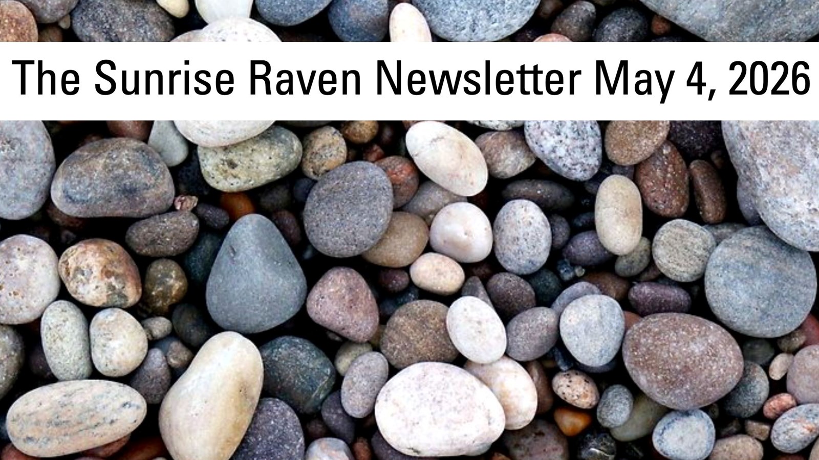 Sunrise Raven Newsletter for May 18, 2026