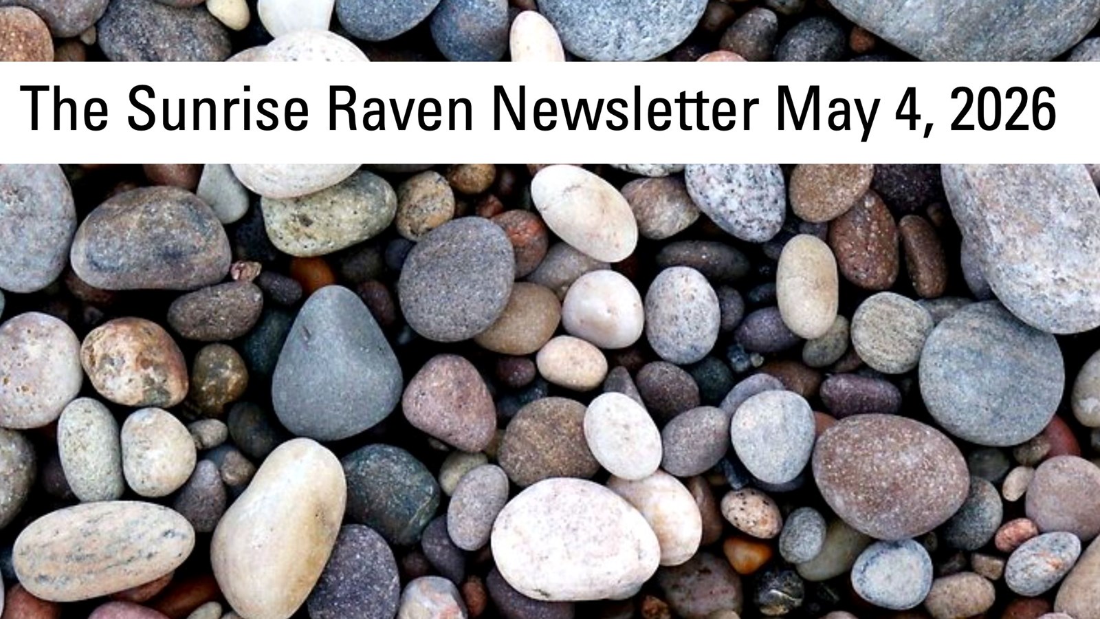 Sunrise Raven Newsletter for May 4, 2026