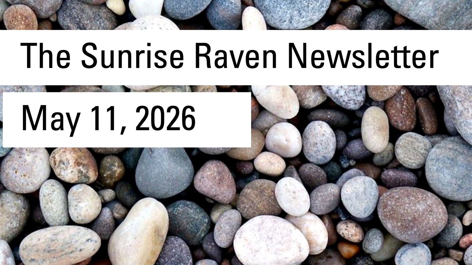 Sunrise Raven Newsletter for May 11, 2026