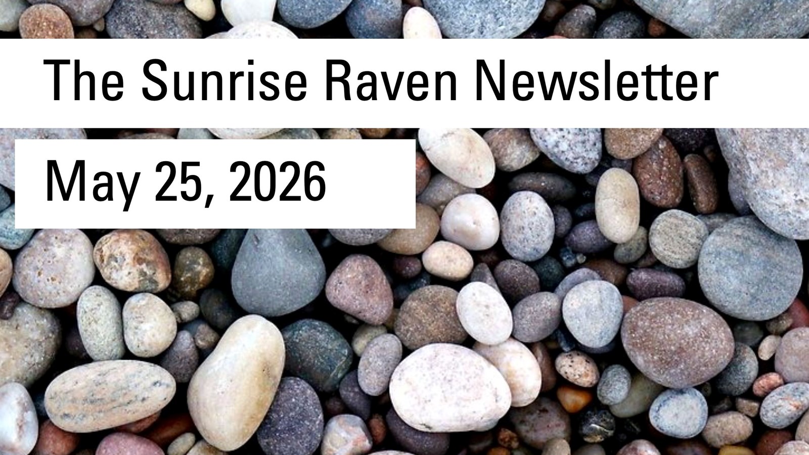 Sunrise Raven Newsletter for May 25, 2026
