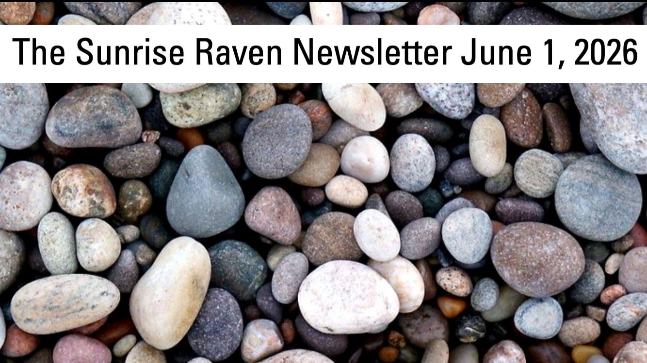 Sunrise Raven Newsletter for June 1, 2026