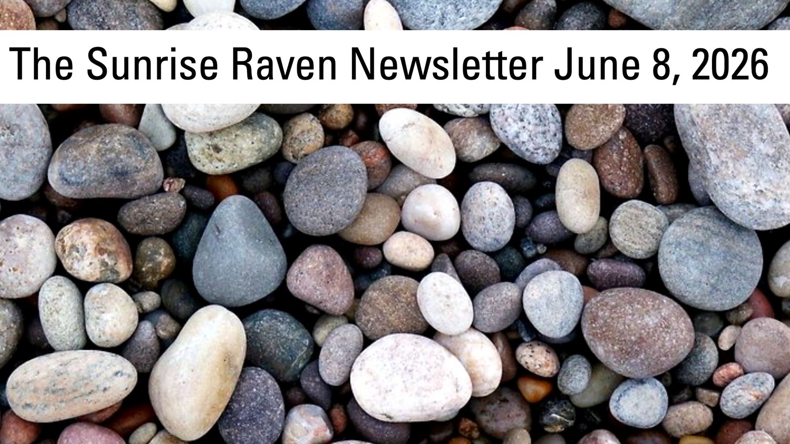 Sunrise Raven Newsletter for June 8, 2026