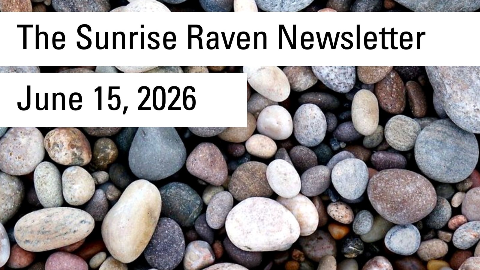 Sunrise Raven Newsletter for June 15, 2026