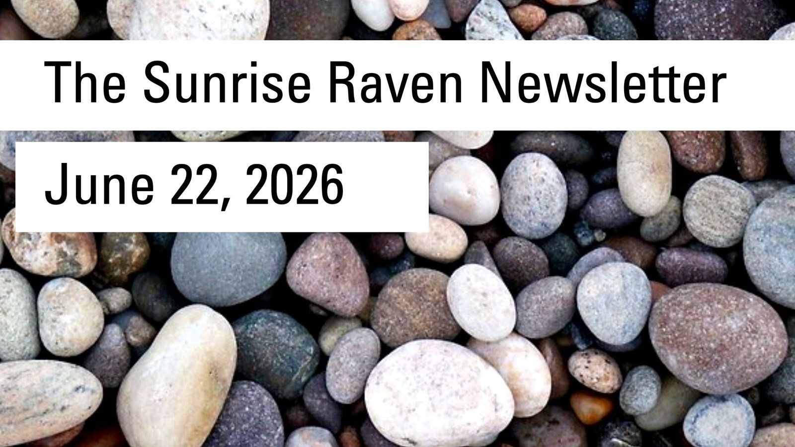Sunrise Raven Newsletter for June 22, 2026