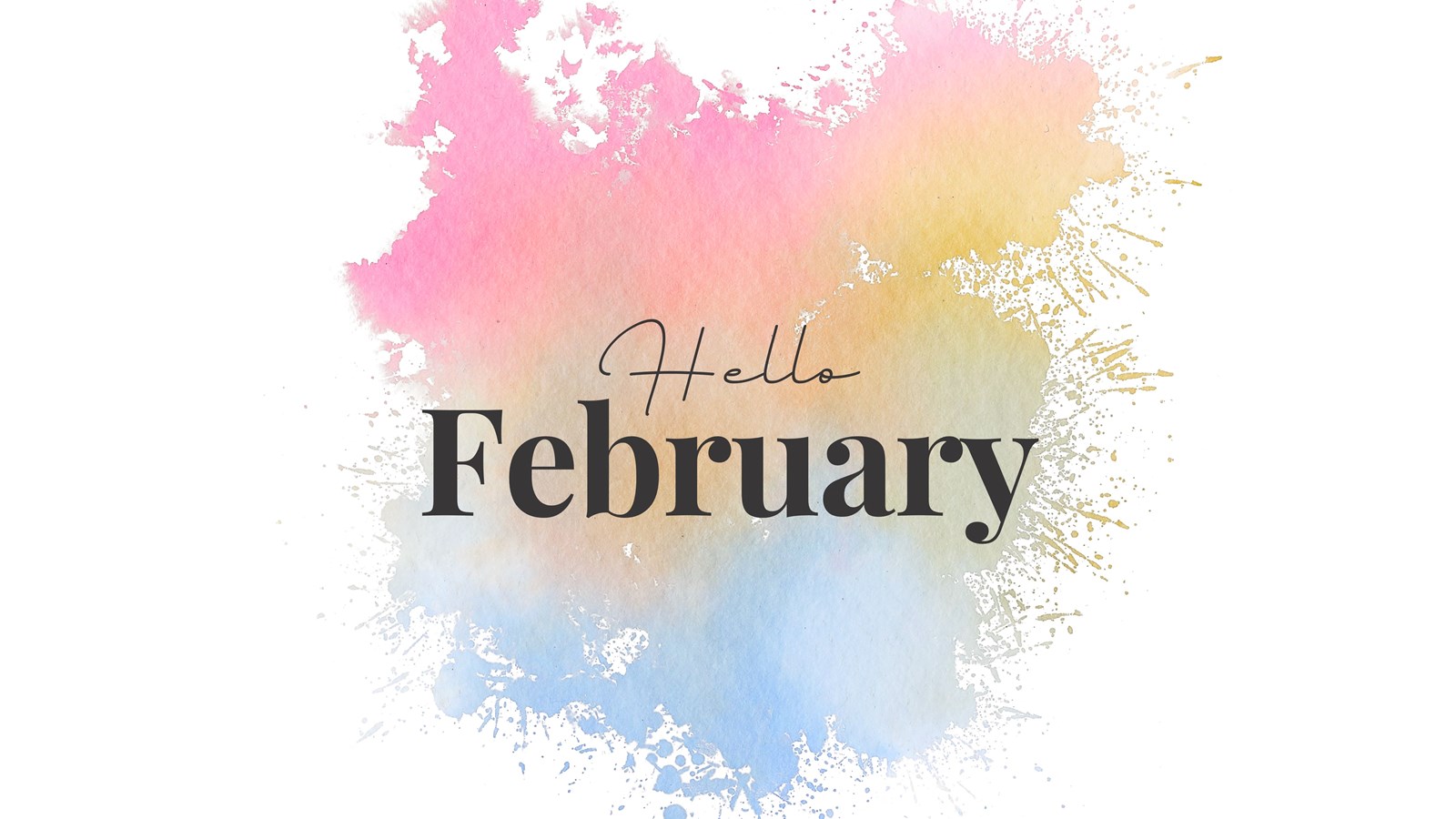 February 2026 Newsletter