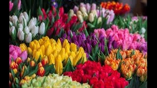May Newsletter