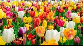 May 2026 Newsletter