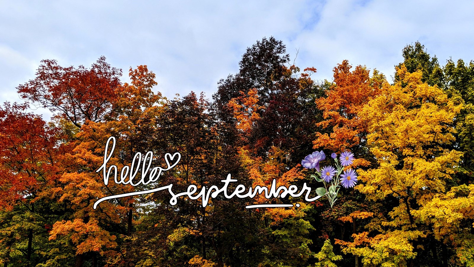 September 2026 Parent/Student Newsletter