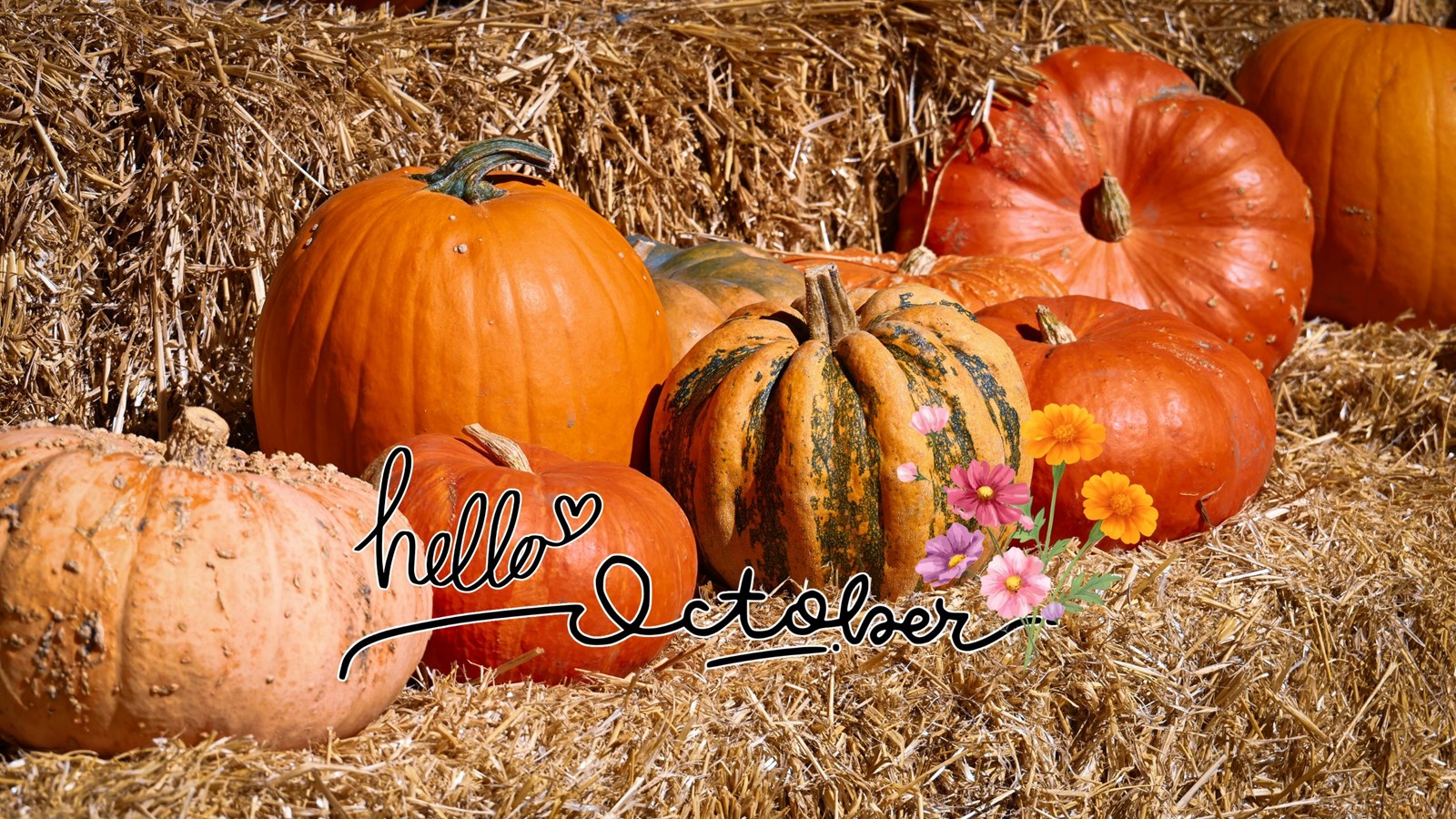 October 2026 Parent/Student Newsletter