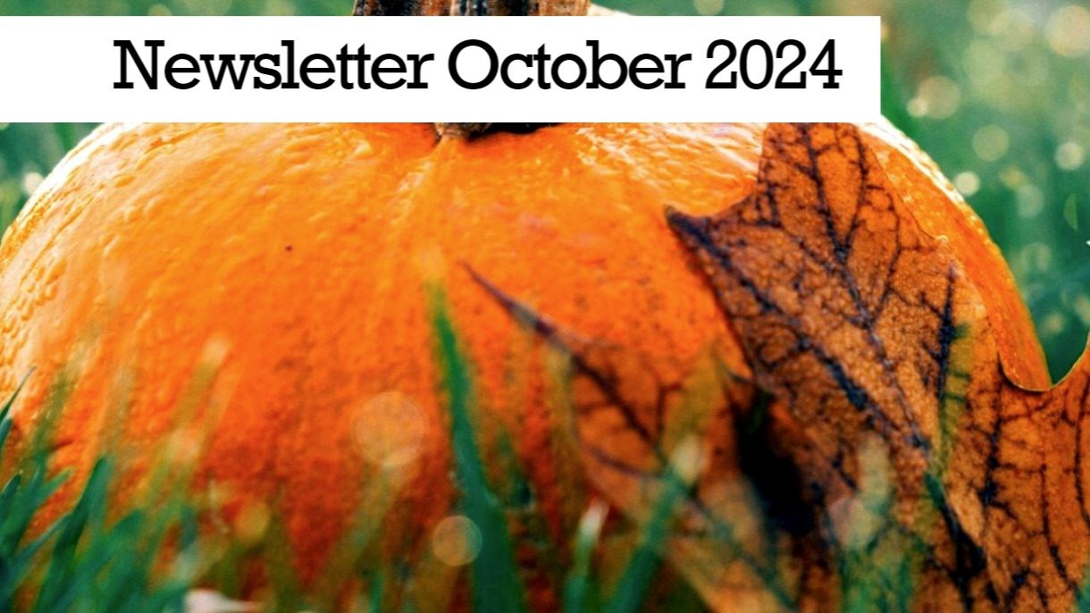 Newsletter October 2024